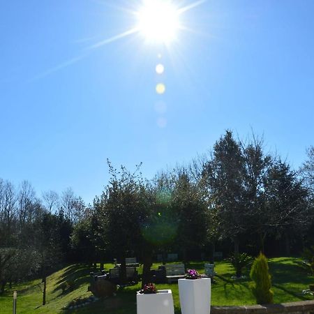 Tenuta Terra Tefra Villa Conca della Campania Exterior photo